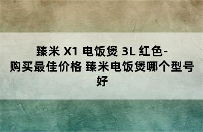 臻米 X1 电饭煲 3L 红色-购买最佳价格 臻米电饭煲哪个型号好